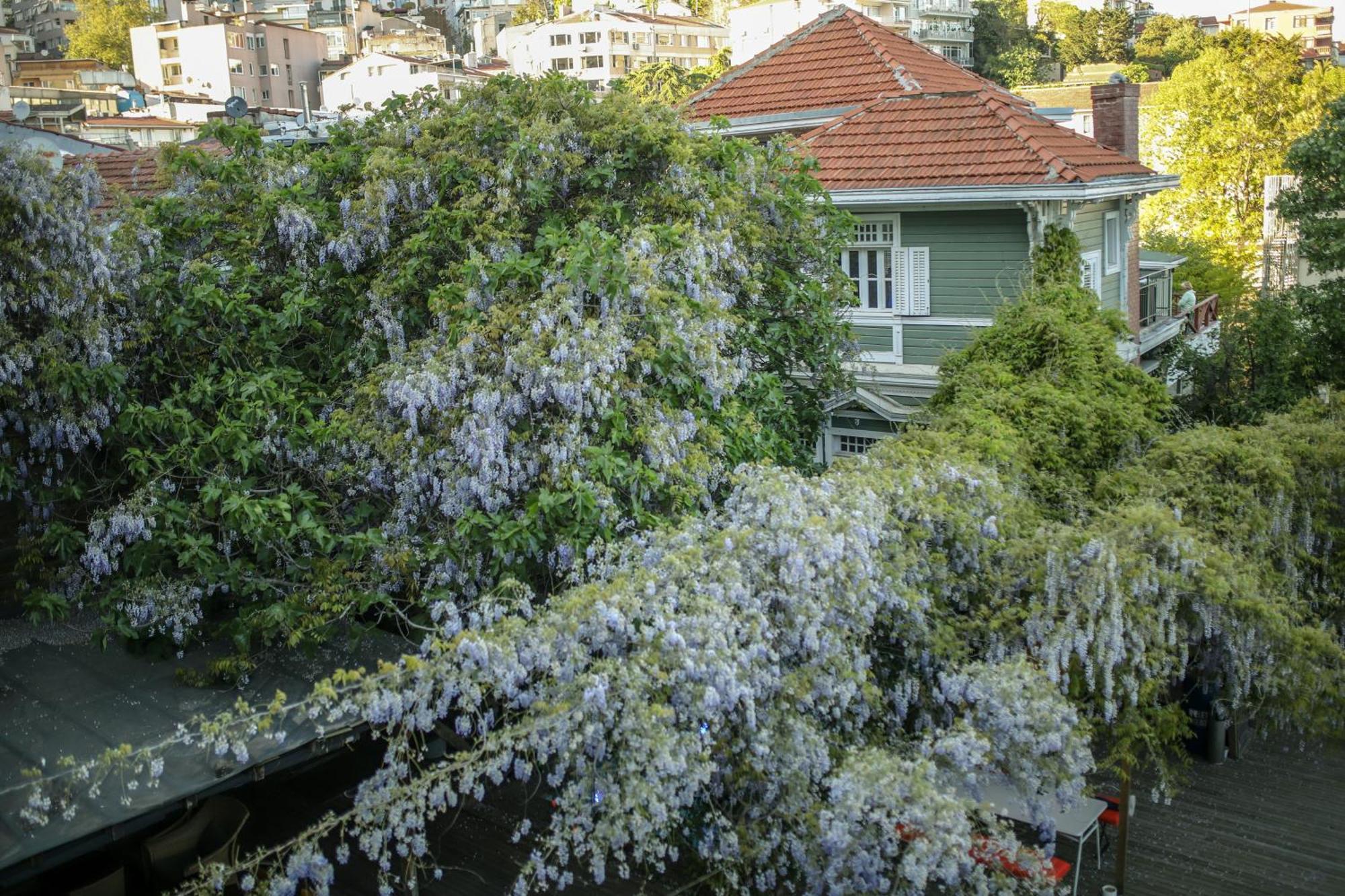 Loop Hotel Bosphorus Istanbul Exterior foto